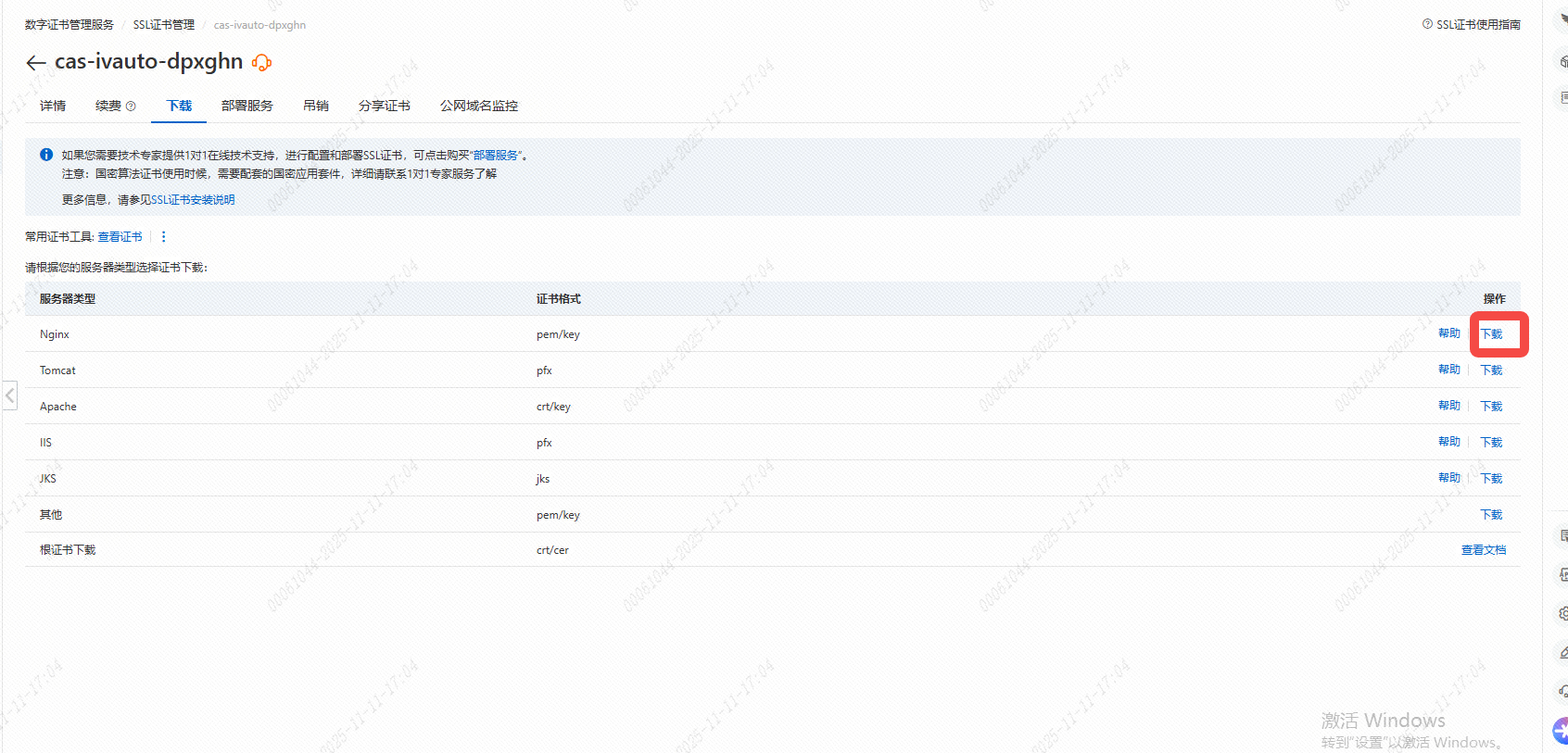 image-20251111170525048